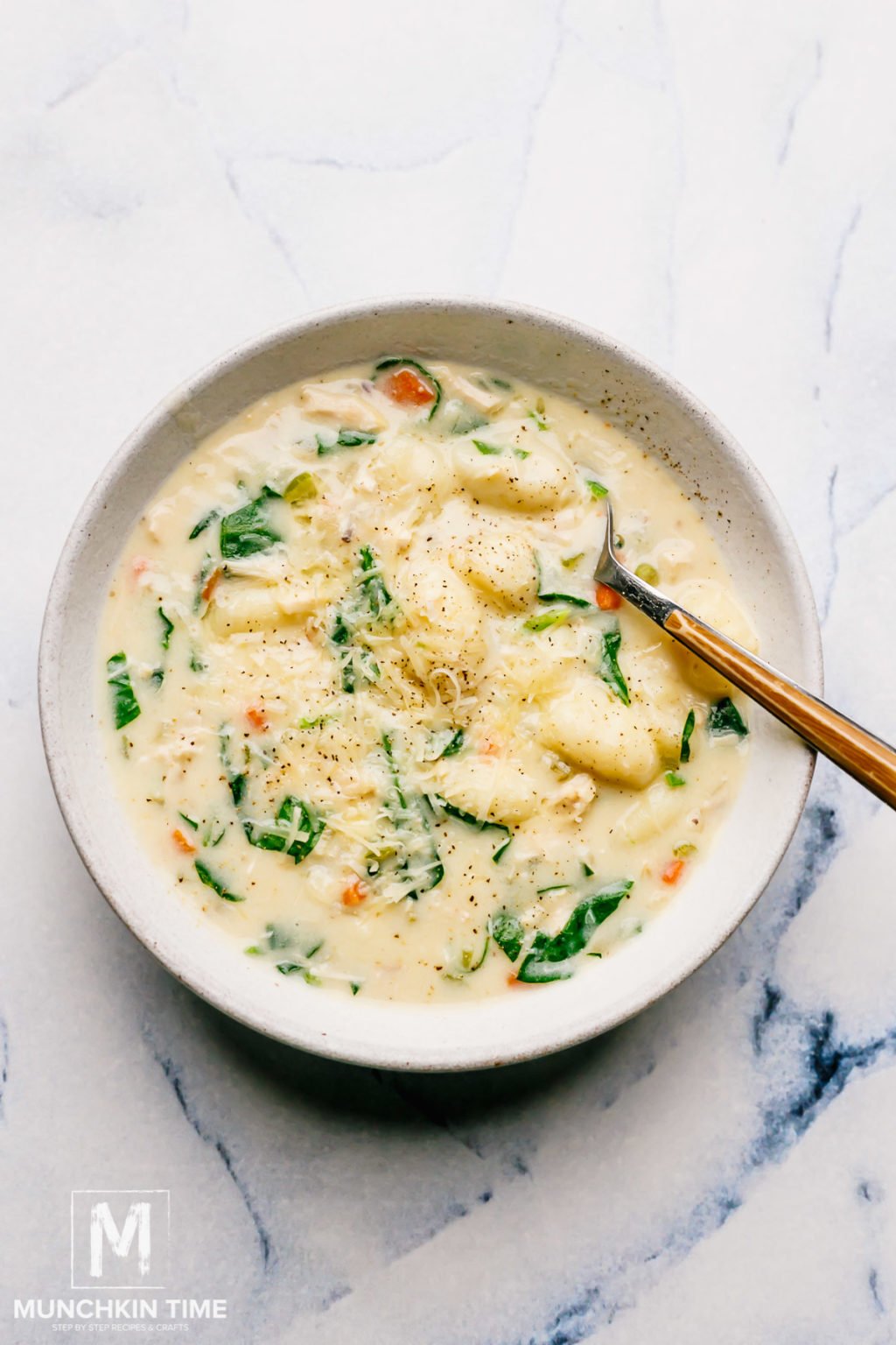 Italian Creamy Chicken Gnocchi Soup Recipe - Munchkin Time