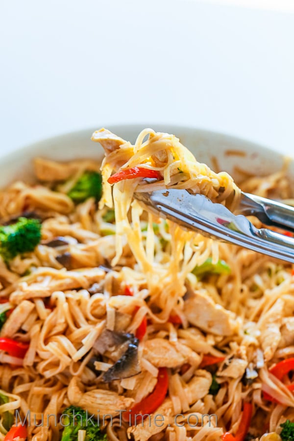Hoisin Chicken Noodles (30-min. Recipe) - Christie at Home