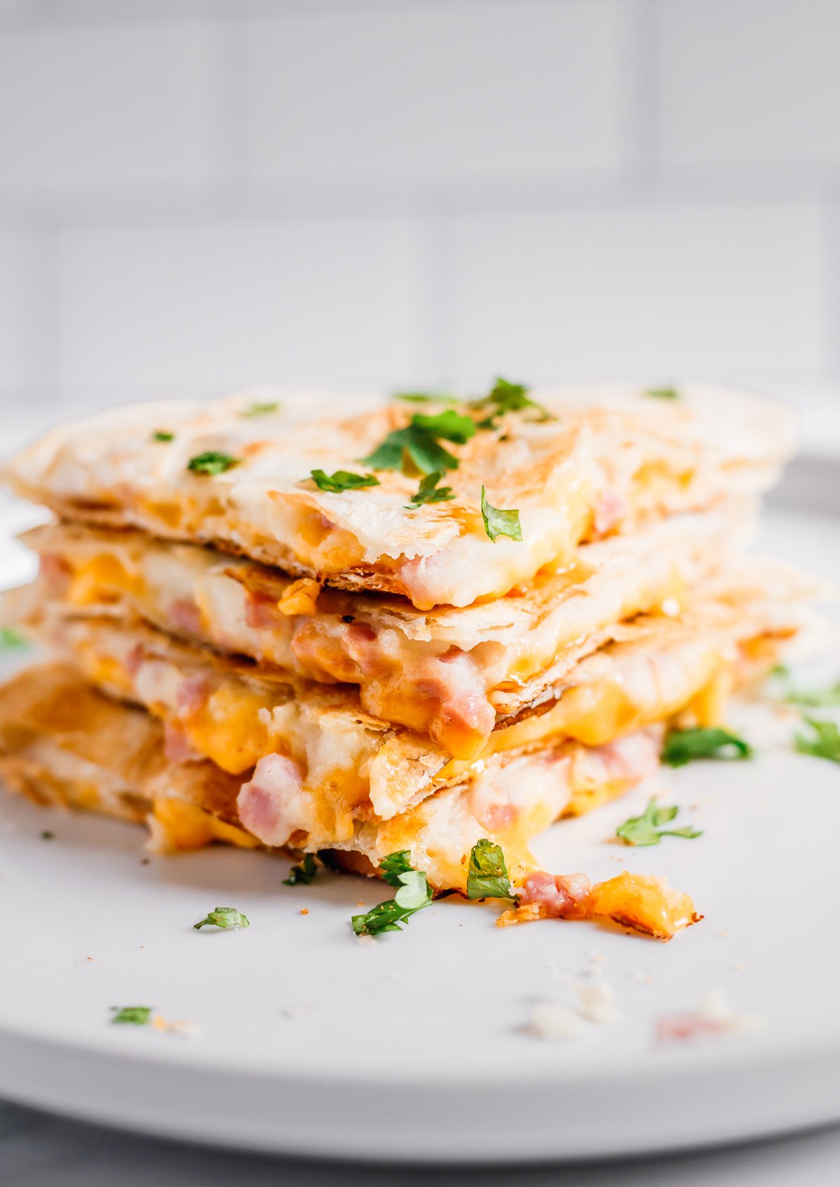 Mashed Potato and Cheese Quesadilla Recipe