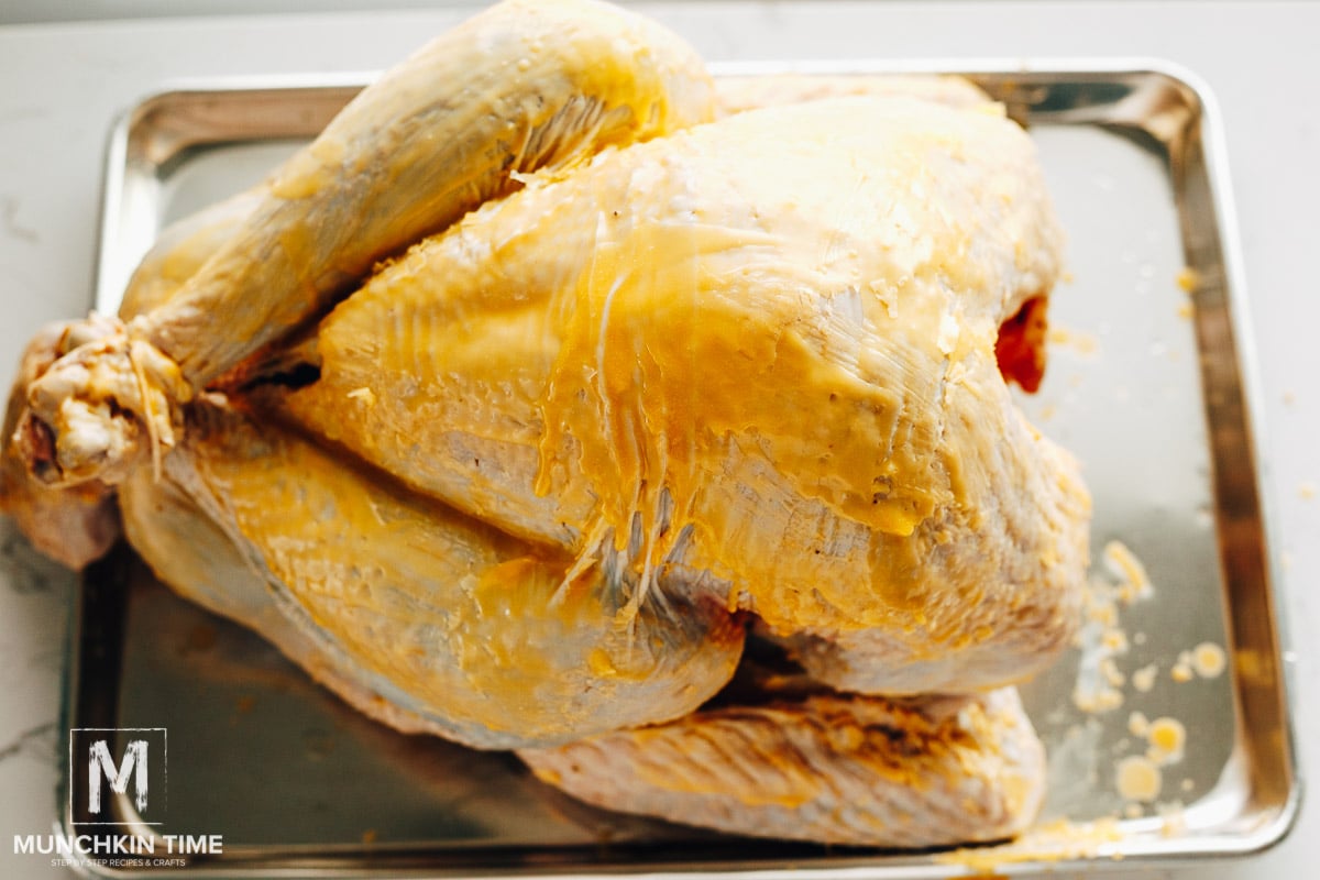 How to Cook a Turkey in a Bag - 2 Cookin Mamas