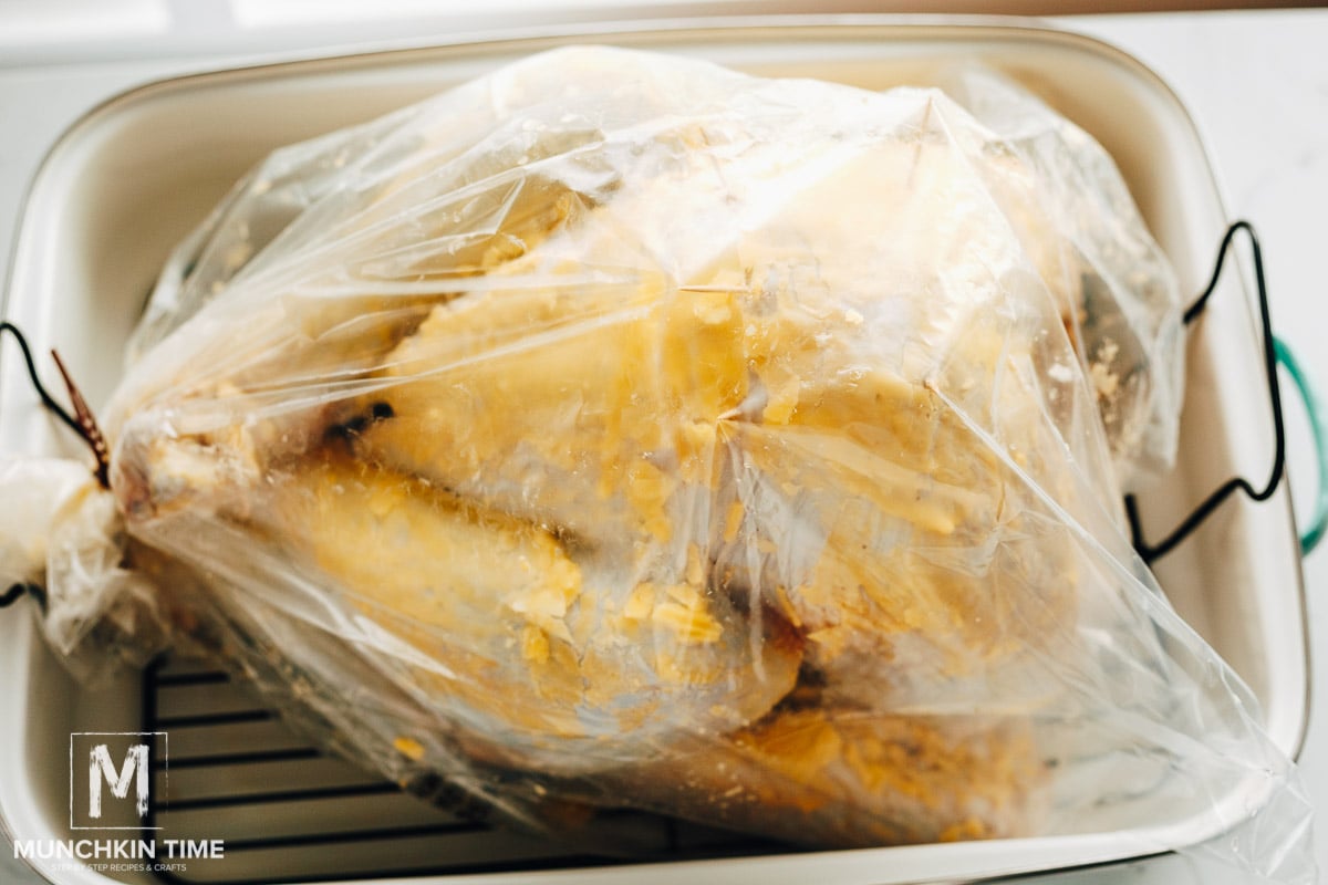 How to Cook a Turkey in a Bag - Munchkin Time