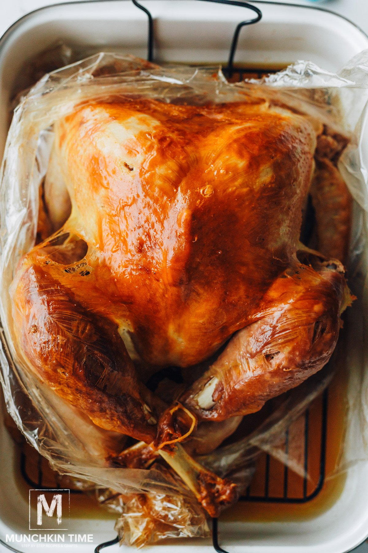 How to Roast a Turkey in a Bag