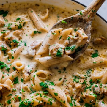 A spoonful of One Pot Chicken Alfredo Pasta